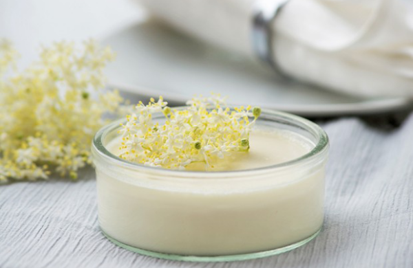 Holunderblüten Rezepte feines cremiges Dessert mit weißen Blüten dekoriert Gesundheit aus der Natur