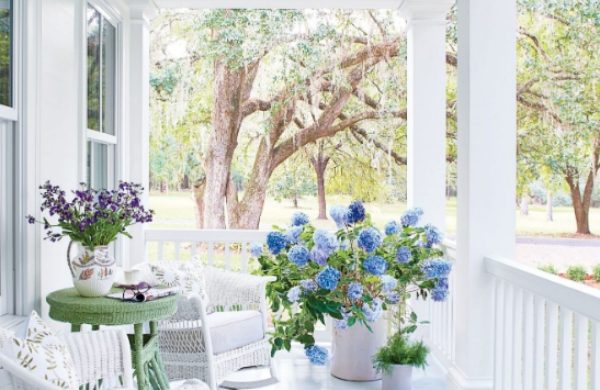 Hortensien im Topf blaue Blüten im weißen Pflanzgefäß Hingucker auf der weißen Veranda