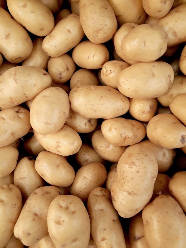 Kartoffelschalen verwenden im Haus und Garten kartoffeln sind gesund und glutenfrei