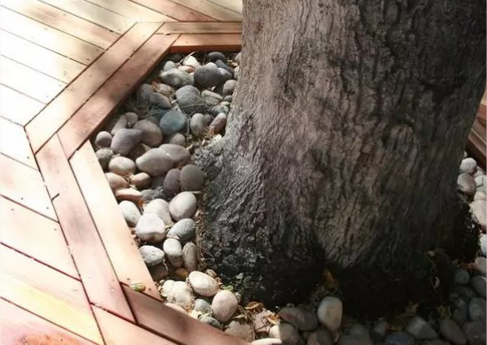 Platz unter Baum eine Holzterrasse um einen Baum im eigenen Garten selber bauen