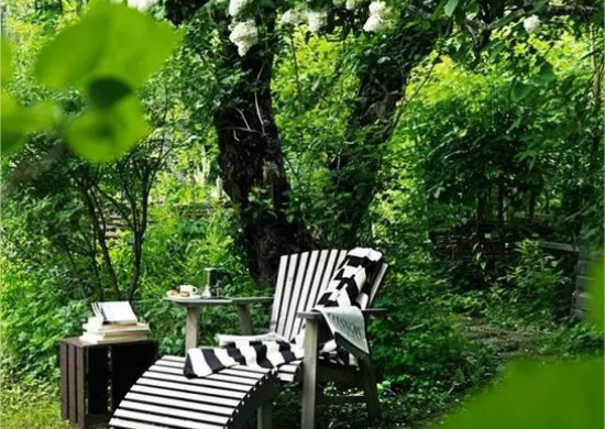 Platz unter Baum naturnah leben Liegestuhl kleiner Tisch Bücher lesen puren Relax empfinden