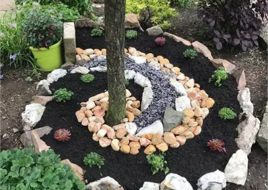 Platz unter Baum spiralenförmiges Design mit Steinen und Sukkulenten Blickfang im Garten