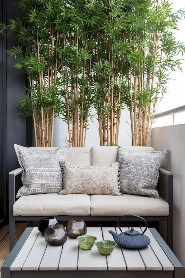 Sonnenschutz Ideen fuer Terrasse und Balkon sichtschutz mit bambus im topf