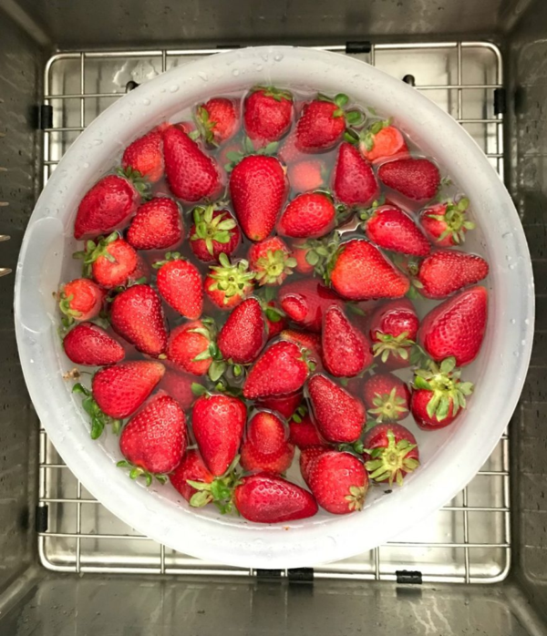erdbeeren haltbar machen vorbereiten in der schale