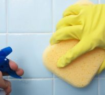 Schimmel in der Dusche entfernen – 4 schnelle Tricks