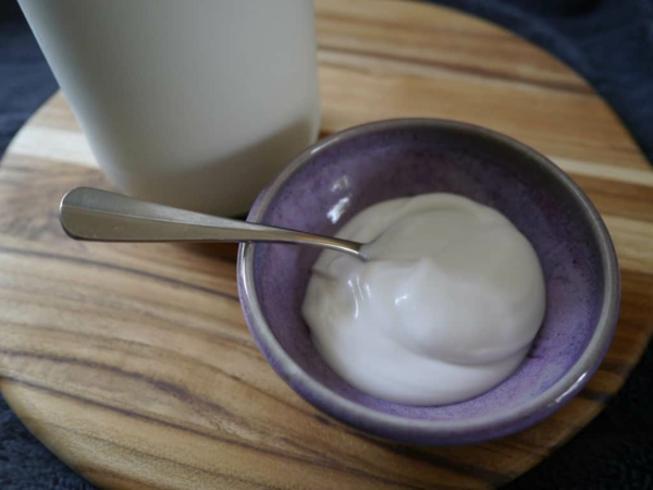 kokosjoghurt selber machen vegane alternative keine laktose