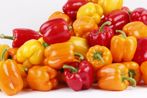 paprika-pflanze pflegen verschiedene farben