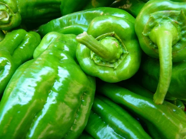 paprika-pflanze pflegen vitamin c reich