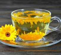 Tee Garten anlegen- 19 Kräuter für bessere Lebensqualität