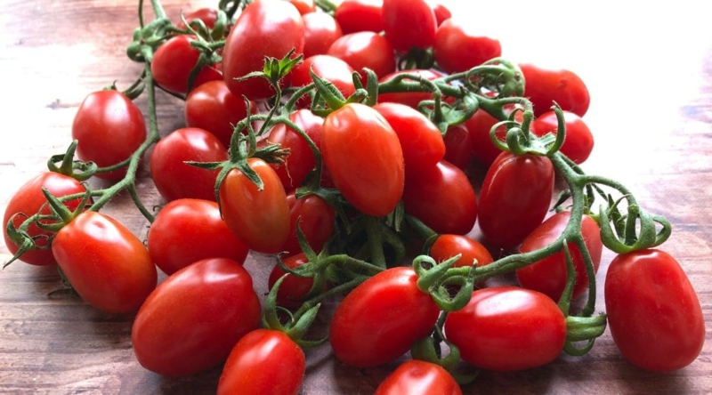 tomaten richtig pflegen viele tomatensorten
