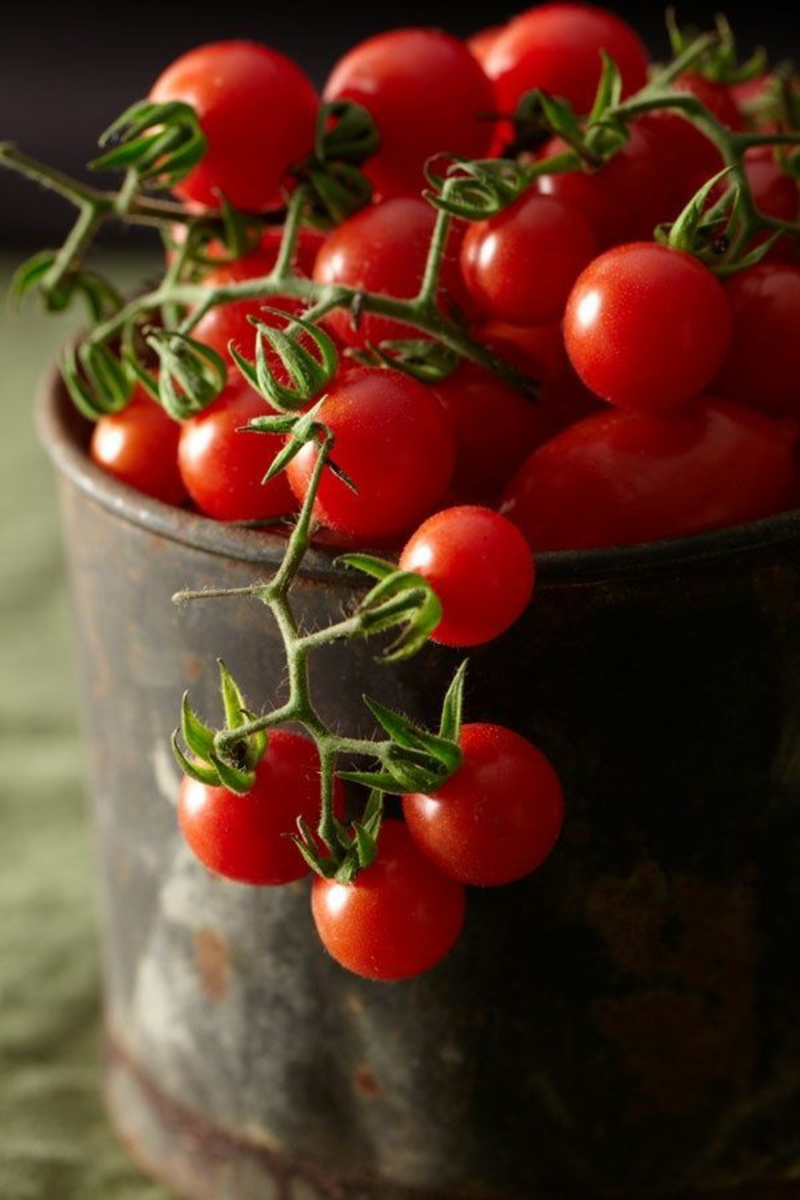 tomaten richtig pflegen welche sorte gemüsegarten selber anbauen