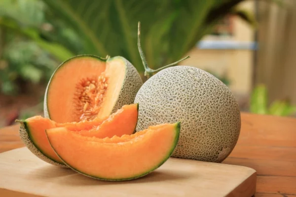 Cantaloupe-Melone festes orangefarbenes Fruchtfleisch interessant gefaerbte Schale nicht zu verwechseln