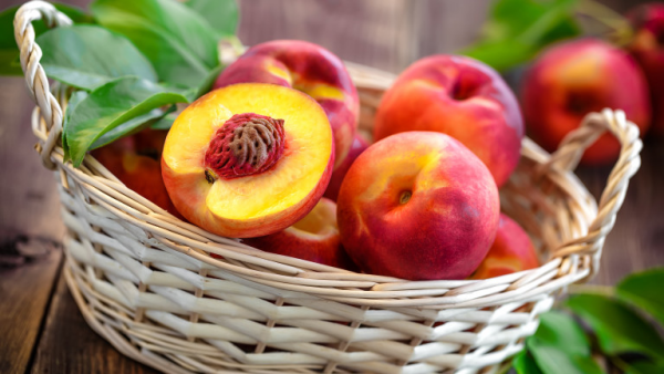 Pfirsiche lagern reife Früchte im Garten pflücken aufbewahren