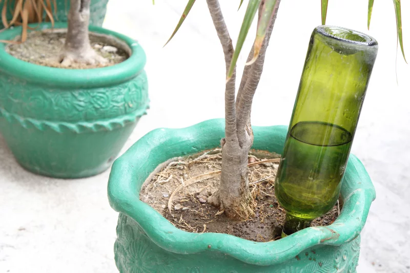 Pflanzen im Urlaub bewaessern – 6 DIY Ideen fuer Garten- und Zimmerpflanzen glasflasche ideen umgekehrt