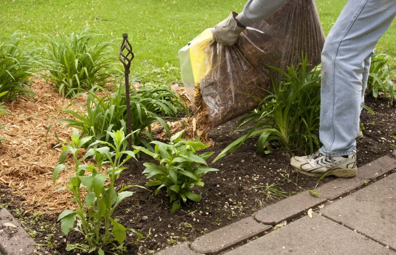 Pflanzen im Urlaub bewaessern – 6 DIY Ideen fuer Garten- und Zimmerpflanzen mulch gartenbeet wasser speichern