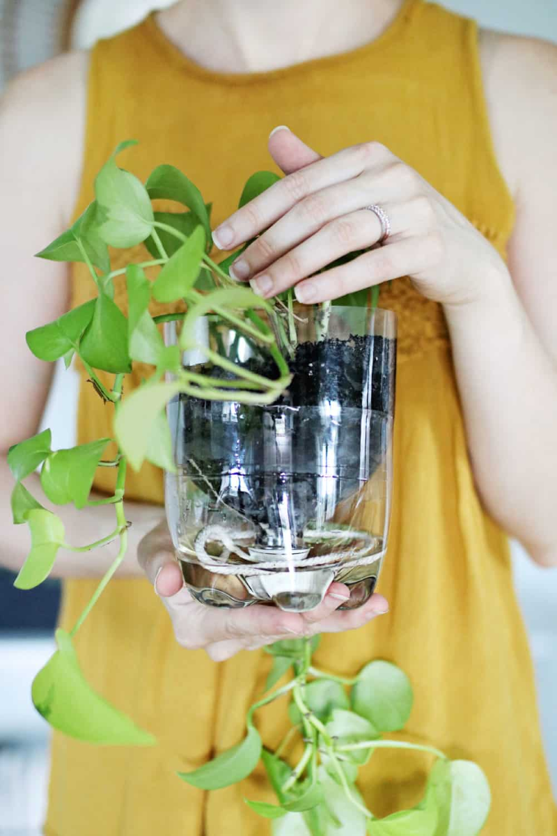 Pflanzen im Urlaub bewaessern – 6 DIY Ideen fuer Garten- und Zimmerpflanzen plastikflaschen diy upcycling idee