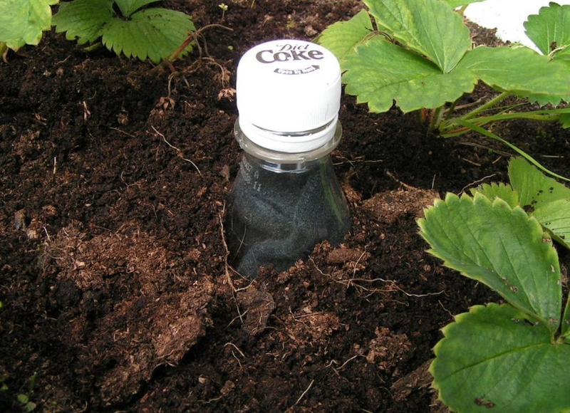 Pflanzen im Urlaub bewaessern – 6 DIY Ideen fuer Garten- und Zimmerpflanzen wasserflasche vergraben ideen