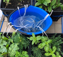 Pflanzen im Urlaub bewässern – 6 DIY Ideen für Garten- und Zimmerpflanzen