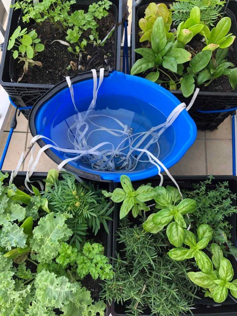 Pflanzen im Urlaub bewaessern – 6 DIY Ideen fuer Garten- und Zimmerpflanzen wassergabe mit docht und eimer