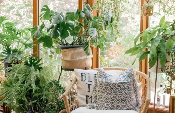 Verglaste Veranda viele grüne Topfpflanzen Sessel beruhigend wirken