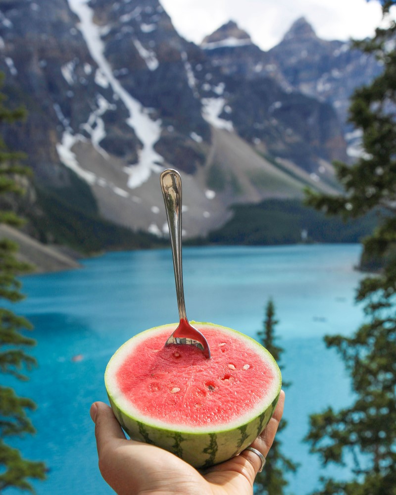Wassermelone pflanzen, pflegen und ernten – 6 wichtige Tipps sommer frucht essen urlaub