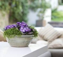 Sommerdekoration mit Zimmerpflanzen – Tipps und Ideen beim Kauf und Einrichten