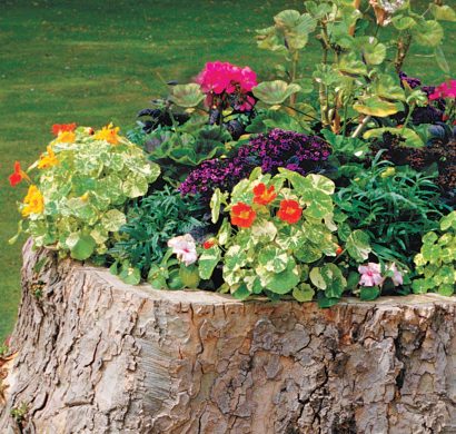 DIY Blumenkasten aus Baumstamm für den Garten