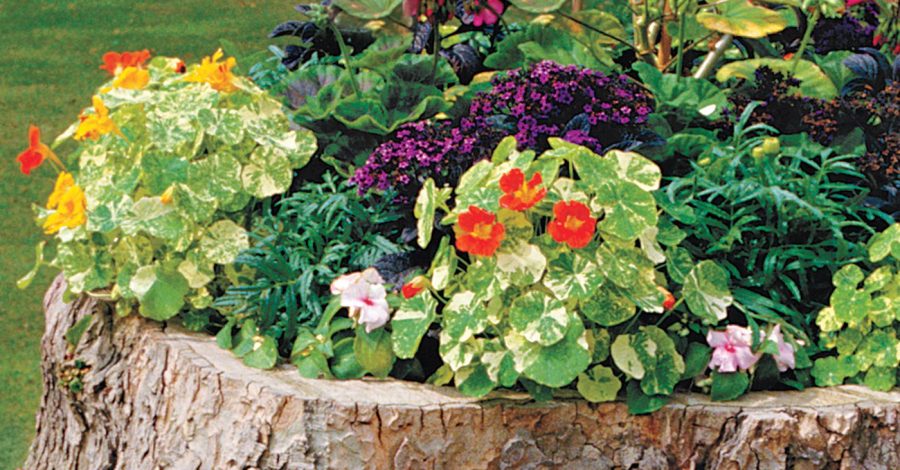 DIY Blumenkasten aus Baumstamm für den Garten