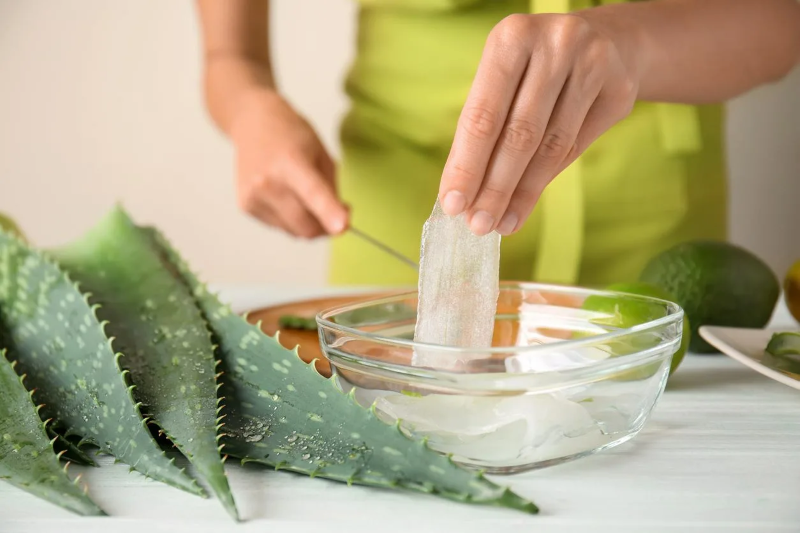 100 % natürliches Aloe Vera Creme selber machen aloe blatt filetieren gel