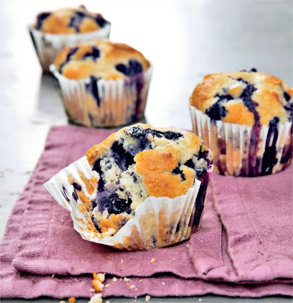 Blaubeer-Muffins hervorragend im Geschmack gesund lecker saftig leicht