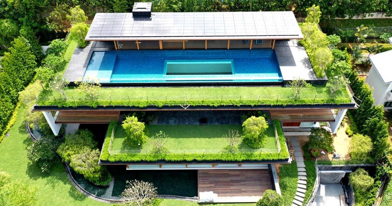Dachbegruenung Pflanzen modernes Haus