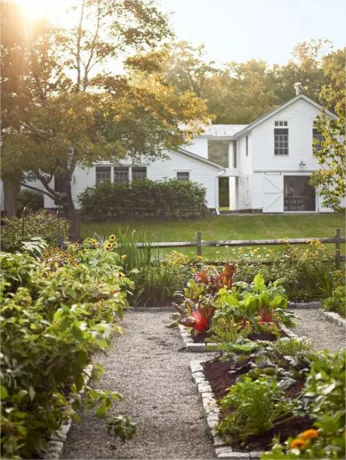 Gartenwege mit Kies Gemüsegarten Beete mit Kraeutern ordentlich gestaltet