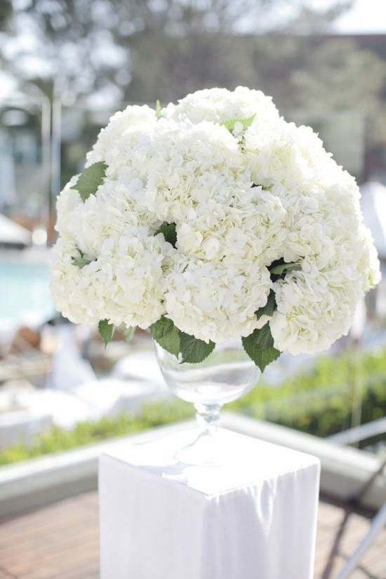 Hochzeitsdeko mit Hortensien weiße Blueten im Glas ideal zum feierlichen Event