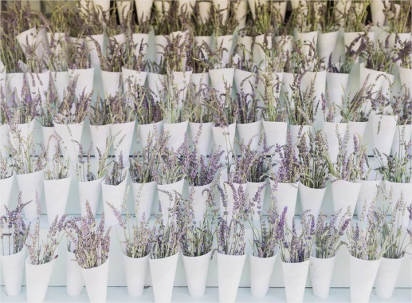 Hochzeitsdeko mit Lavendel Lavendelbouquets in kleinen Tueten fuer die Hochzeitsgaeste