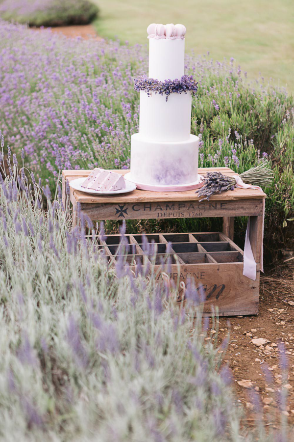 Hochzeitsdeko mit Lavendel leckere Hochzeitstorte blau- lila Lavendelfeld