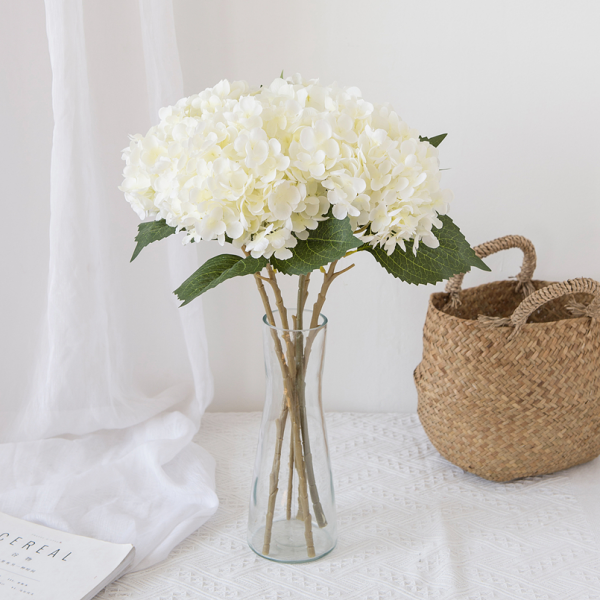 Hortensien Deko zuhause weiße Blueten in der Vase auffallend