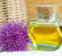 Klettenwurzel Haaröl – Vorteile, Anwendung und DIY Rezept