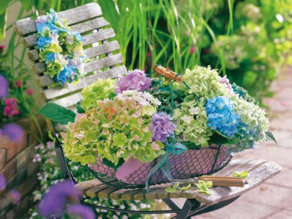 Kranz aus Hortensien Inspiration aus der Natur Korb mit Hortensienblueten verschiedene Farben auf Gartenbank