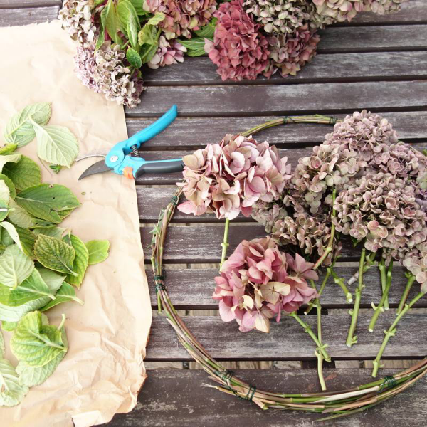 Kranz aus Hortensien Weiden in Kranzform binden Hortensienblueten schneiden DIY Projekt kurze Stiele ohne gruene Blätter