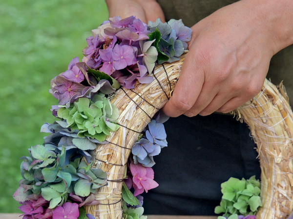 Kranz aus Hortensien am Rohling Hortensienblueten befestigen mit Draht umwickeln