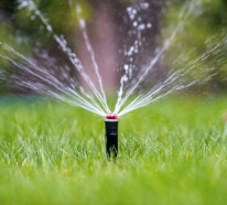 Rasen bewässern bei der Sommerhitze: So machen Sie es richtig!