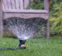 Rasen bewässern bei der Sommerhitze: So machen Sie es richtig!
