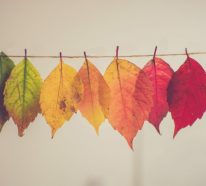 Herbstdeko 2022- 15 stimmungsvolle Ideen zum Saisonwechsel