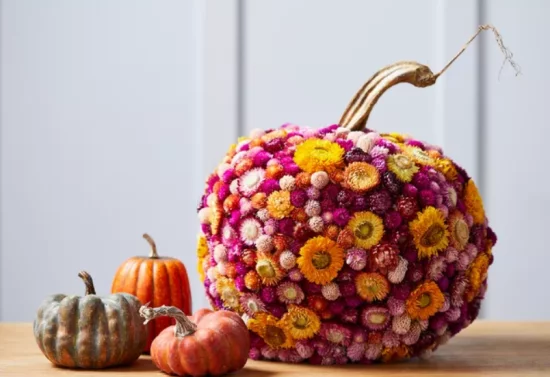Herbstdeko mit Kuerbissen mit getrockneten Blumen verziert farbenfroh mit natuerlichem Charme