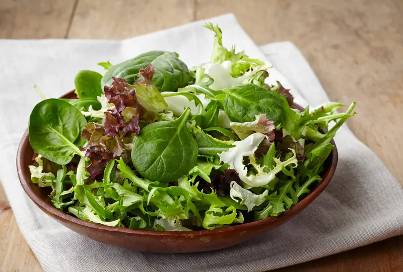 Salatsuppe – Zero Waste Food Trend mit Liebe zur Natur salat blattgemuese