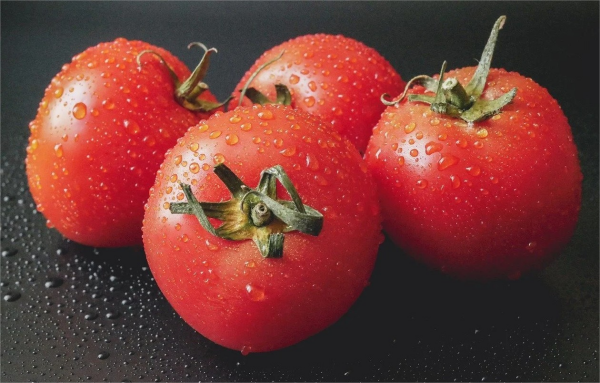 Tomaten richtig lagern Tipps fuer Aufbewahrung und Konsum