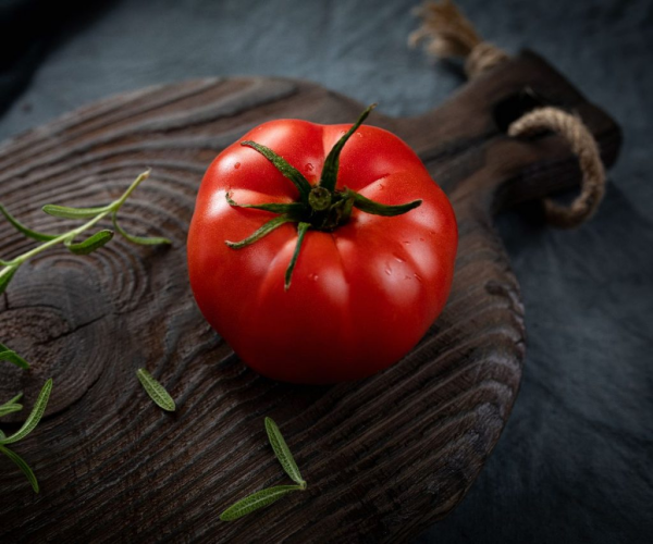 Tomaten richtig lagern eine frische reife Tomate bei Raumtemperatur halten