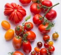 Wie soll man Tomaten richtig lagern, damit sie länger frisch bleiben?