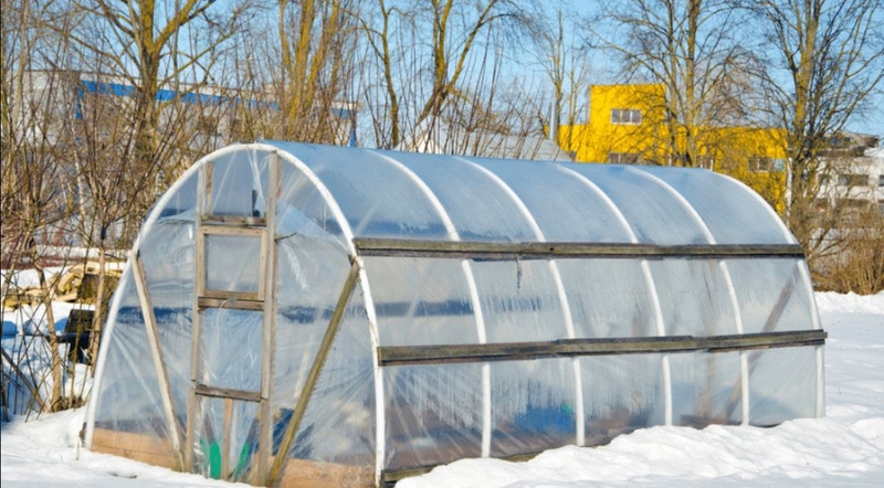 Winterschutz für Pflanzen - die besten Tipps Gewaechshaus