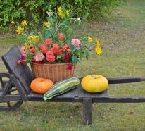 Herbstliche Gartendeko – 15 herrliche Ideen und Anregungen